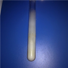 冬虫夏草母种、一级菌种（蝙蝠蛾拟青霉）