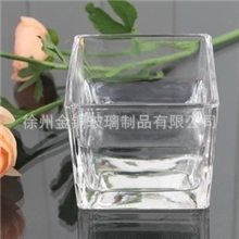 厂家直销玻璃方缸水生植物水培花盆矩形水培玻璃容器8*8*8CM