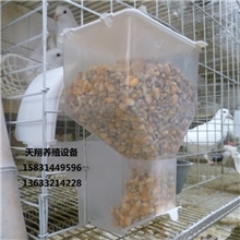 鸽子食槽鸽用自动食槽透明食槽鸽子自动料槽节粮食盒（高透）