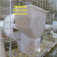 鸽子食槽鸽用自动食槽透明食槽鸽子自动料槽节粮食盒（低透）