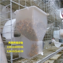 鸽子食槽鸽用自动食槽透明食槽鸽子自动料槽节粮食盒(半透）