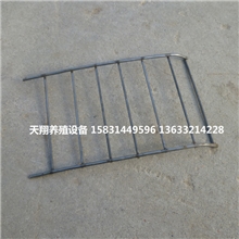 小梯子（鸽子食槽鸽用自动食槽透明食槽节粮食盒）