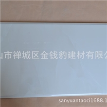 佛山厂家家装爆款完全不透水釉面墙砖厨房卫生间砖300*600mm