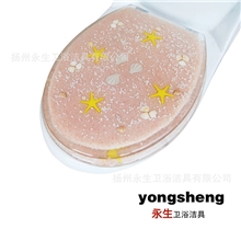 超厚马桶盖板树脂马桶盖坐便器盖海洋沙滩坐不烂