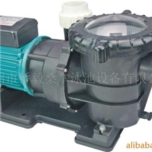 供应泳池按摩水泵过滤水泵增压泵吸污泵功能泵冲击泵