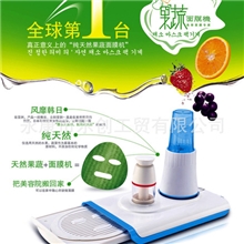 2012新产品家居新选DIY自制面膜机水果面膜仪全国招商加盟