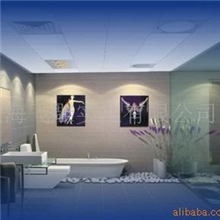 提供集成吊顶服务