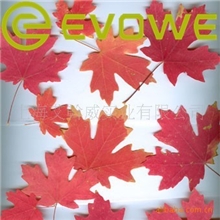 供应生态树脂板压克力蜂窝板EVOWE树脂国产(图)