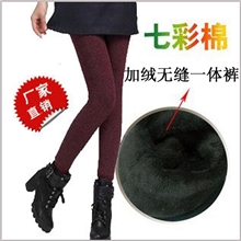秋冬女士加厚保暖裤女士考拉绒七彩棉一体裤保暖冬裤秋衣秋裤