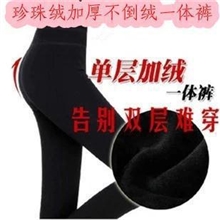 新款无缝一体考拉绒加厚保暖日本底裤不倒绒保暖裤裤袜批发