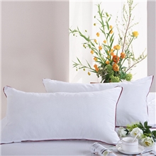 缘自淘专柜正品保健颈椎枕头压不扁枕芯羽丝绒枕头宾馆枕