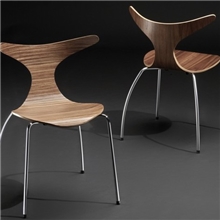 曲木椅弯曲木曲木家具胶合板家具餐桌椅