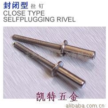 供应不锈钢封闭拉钉/封闭沉头不锈钢拉钉(图)