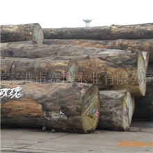 供应黄玫瑰进口原木