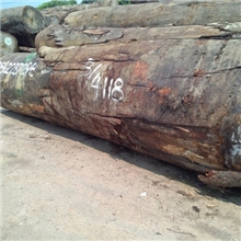 供应大量非洲黄玫瑰黄玫瑰金丝木短盖豆（进口原木）