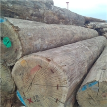 供应进口龙脑香克隆（原木）