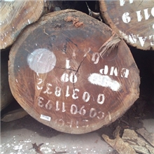 供应进口圆盘豆原木奥坎原木塔立原木柚檀王