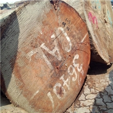 供应巴辛所罗门冰糖果海棠木张家港启源木业