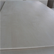 长期供应杨木芯桦木面装饰用胶合板