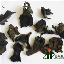 黑木耳