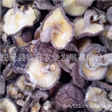 干香菇批发