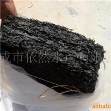 供应出口淡干及烘干海带丝，海带(图)