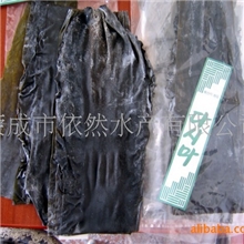 厂家直供各类海带