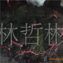 腌制海带丝，特产海带，优质海带丝海带结大量批发