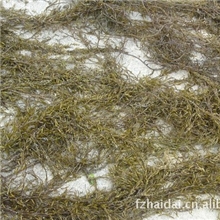 供应优质马尾藻海藻褐藻野海藻鼠尾藻马尾藻粉饲料原料