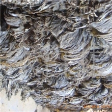 供应各种类型海带，干海带2012新海带