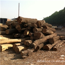 批发榆木