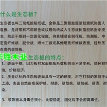 【华胜】纳胜牌双贴面环保生态板夹板胶合板大芯板适用家具衣柜