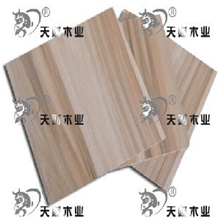 绿森临沂生态板厂家，临沂天财生态板，家具装修高档品味