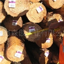 批发供应新西兰松、智利松、澳松原木板材(图)