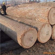 供应水曲柳原木（刨切材）
