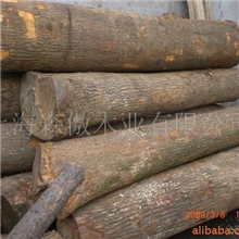 供应香樟原木（刨切材）