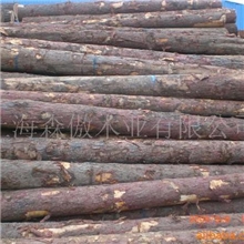 供应落叶松原木