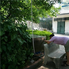 园林喷雾厂家供应园林造景深圳喷雾造景