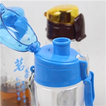 2013最新款旅行拍档茶隔过滤杯子防漏茶杯随身杯飘逸杯