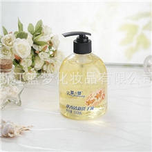 生产销售浙江泡沫洗手液滋润抗菌强效水洗洗手液500ml