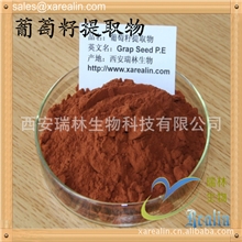 葡萄籽原花青素抗氧化保健品原料厂家供应葡萄籽提取物原花青素