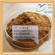 生姜提取物30:1标准比例提取专业植提厂家直销生姜提取物批发