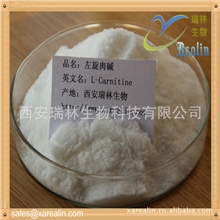左旋肉碱，高效优质减肥原料，现货，当日发货3天到达
