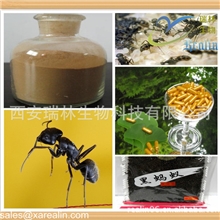 动物提取物超营养黑蚂蚁提取物【止咳平喘保肝护肝调整血压】