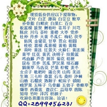 草乌提取物优质低价厂家直销