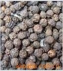 现货供应胡椒提取物供应(图)