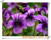 供应丁香香精、耐高温香精、适用于日化、蜡烛、洗涤、塑胶等）