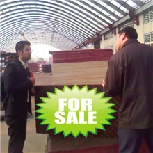 专业出口全杂芯棕膜建筑覆膜板