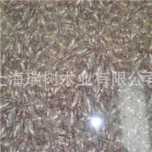 专业生产环保耐晒保丽板浇油板贴纸板大量供应宝丽纸华丽纸PU纸