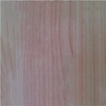 卷材PVC胶地板2m宽2mm加厚耐磨塑胶地板